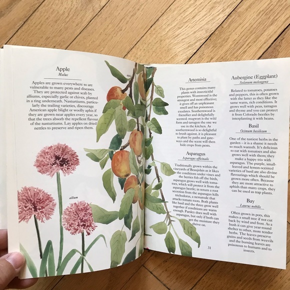 Going Green Good Clean Food Good Companions Book Bundle - Picture 6 of 15